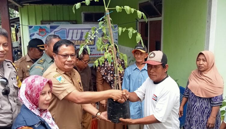 Wujudkan Program 1 Juta Pekarangan, Pemda Banggai Salurkan Bibit Cabai ...